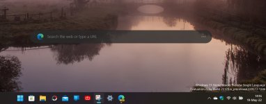 bing1.jpg