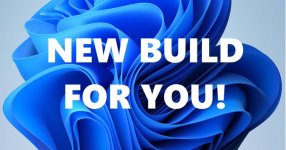 New Build.jpg New Build.jpg